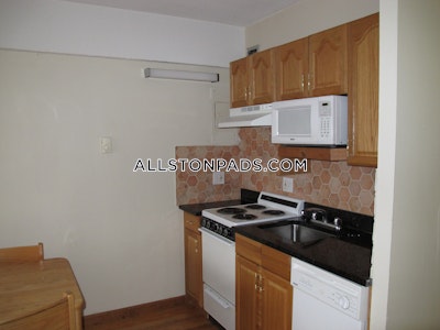 Allston Apartment for rent Studio 1 Bath Boston - $1,950