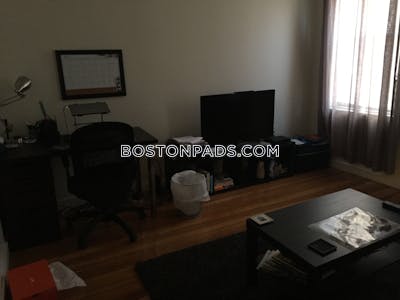 Northeastern/symphony Apartment for rent 1 Bedroom 1 Bath Boston - $3,150 No Fee