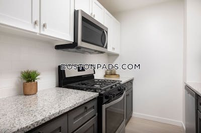 Mission Hill 2 Bedroom in Mission Hill Boston - $3,599