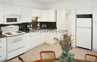 Allston Deal Alert! Spacious 3 Bed 1 Bath apartment in Cambridge St Boston - $3,900