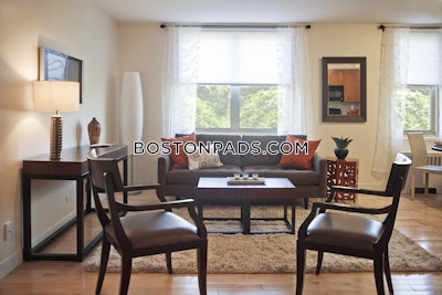 Brighton Apartment for rent 1 Bedroom 1 Bath Boston - $2,564 No Fee