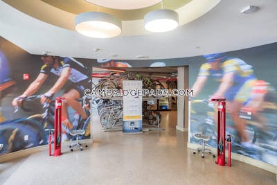 Cambridge Apartment for rent 2 Bedrooms 2 Baths  Alewife - $4,593 No Fee