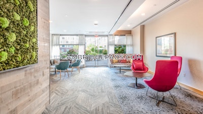 Cambridge Apartment for rent 1 Bedroom 1 Bath  Kendall Square - $4,220 No Fee