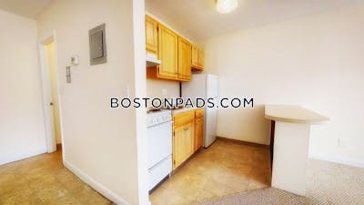Cambridge Apartment for rent 1 Bedroom 1 Bath  Mt. Auburn/brattle/ Fresh Pond - $2,400