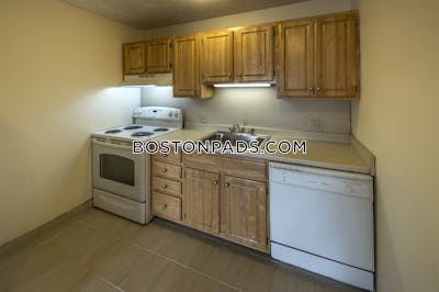 Allston Apartment for rent 1 Bedroom 1 Bath Boston - $3,300