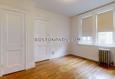 Brighton Apartment for rent 1 Bedroom 1 Bath Boston - $2,400