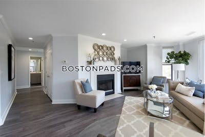 Back Bay 2 bedroom  baths Luxury in BOSTON Boston - $6,594