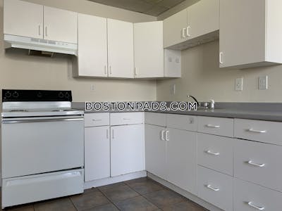 Allston/brighton Border Apartment for rent 2 Bedrooms 1 Bath Boston - $2,650