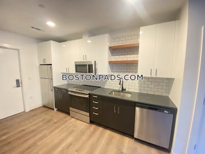 Allston Apartment for rent 2 Bedrooms 2 Baths Boston - $4,650 No Fee